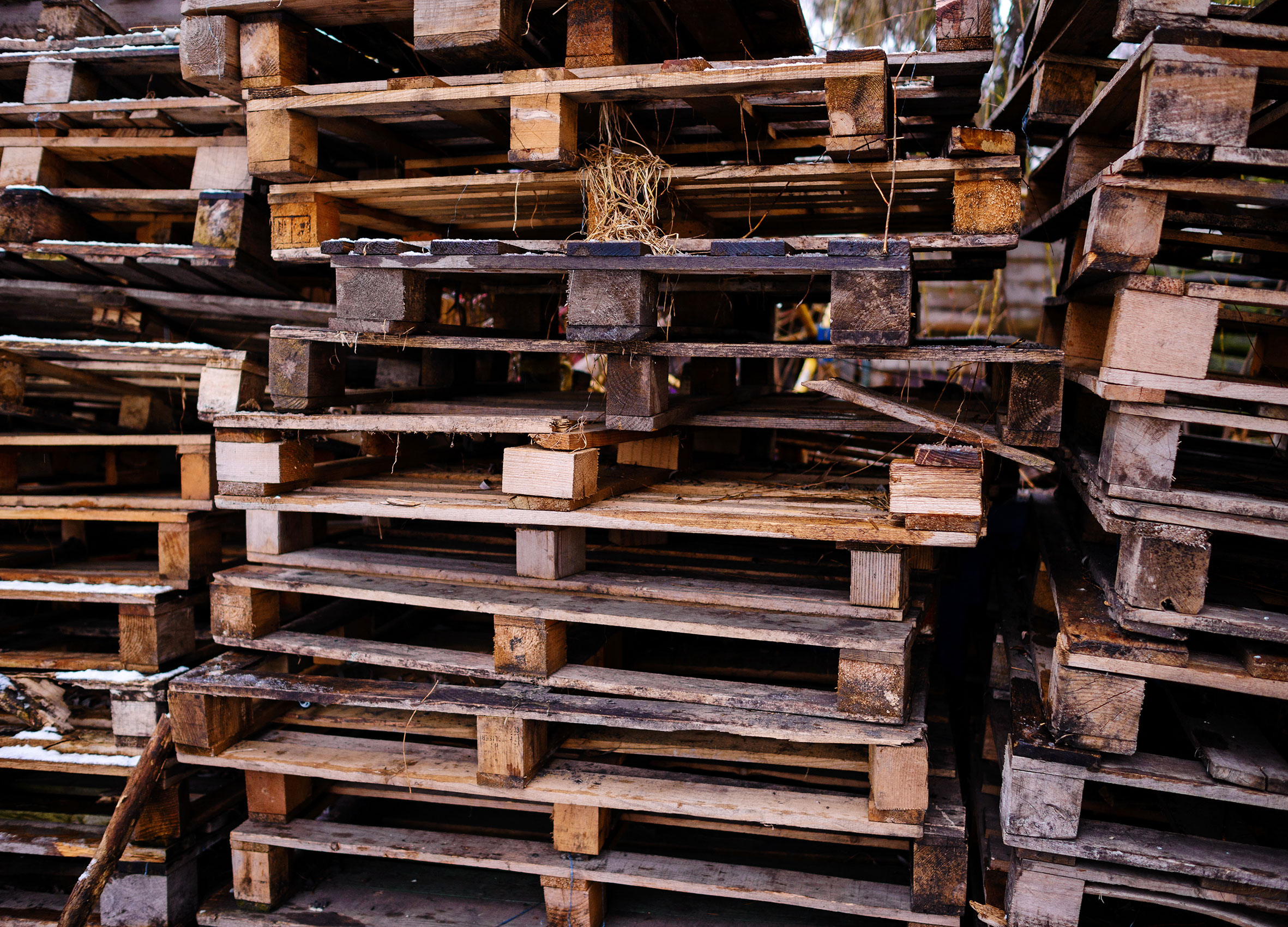 Kunststoff ist das neue Holz – nachhaltige Palettenlösung