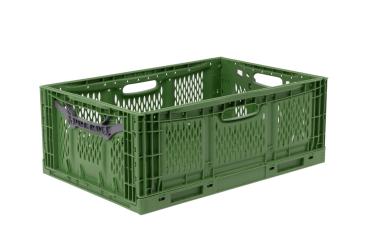 Collapsible box Veggie Fresh 6423 green 600 x 400 x 230 mm 