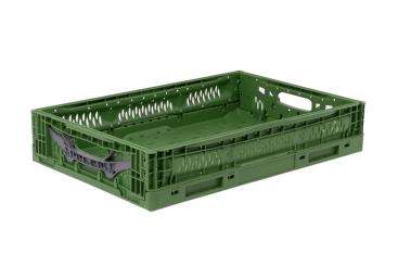 Klappbox Veggie Fresh 6412 - Gemüsekiste grün 600 x 400 x 120 mm 