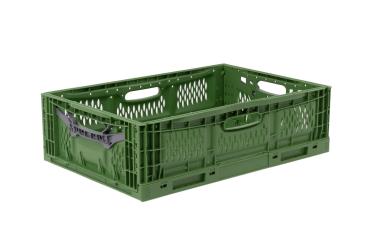 Klappbox Veggie Fresh 6418 - Gemüsekiste grün 600 x 400 x 180 mm 