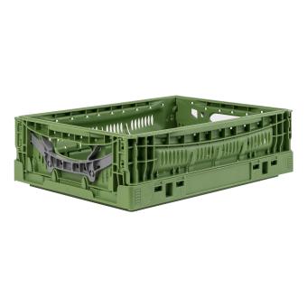 Klappbox Veggie Fresh 4312 - Gemüsekiste grün 400 x 300 x 120 mm 