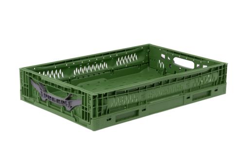 Klappbox Veggie Fresh 6412 - Gemüsekiste grün 600 x 400 x 120 mm 